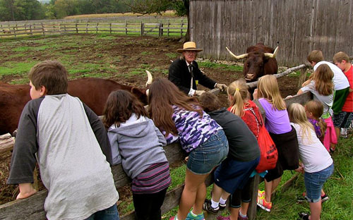 Harvest Days at Garfield Farm